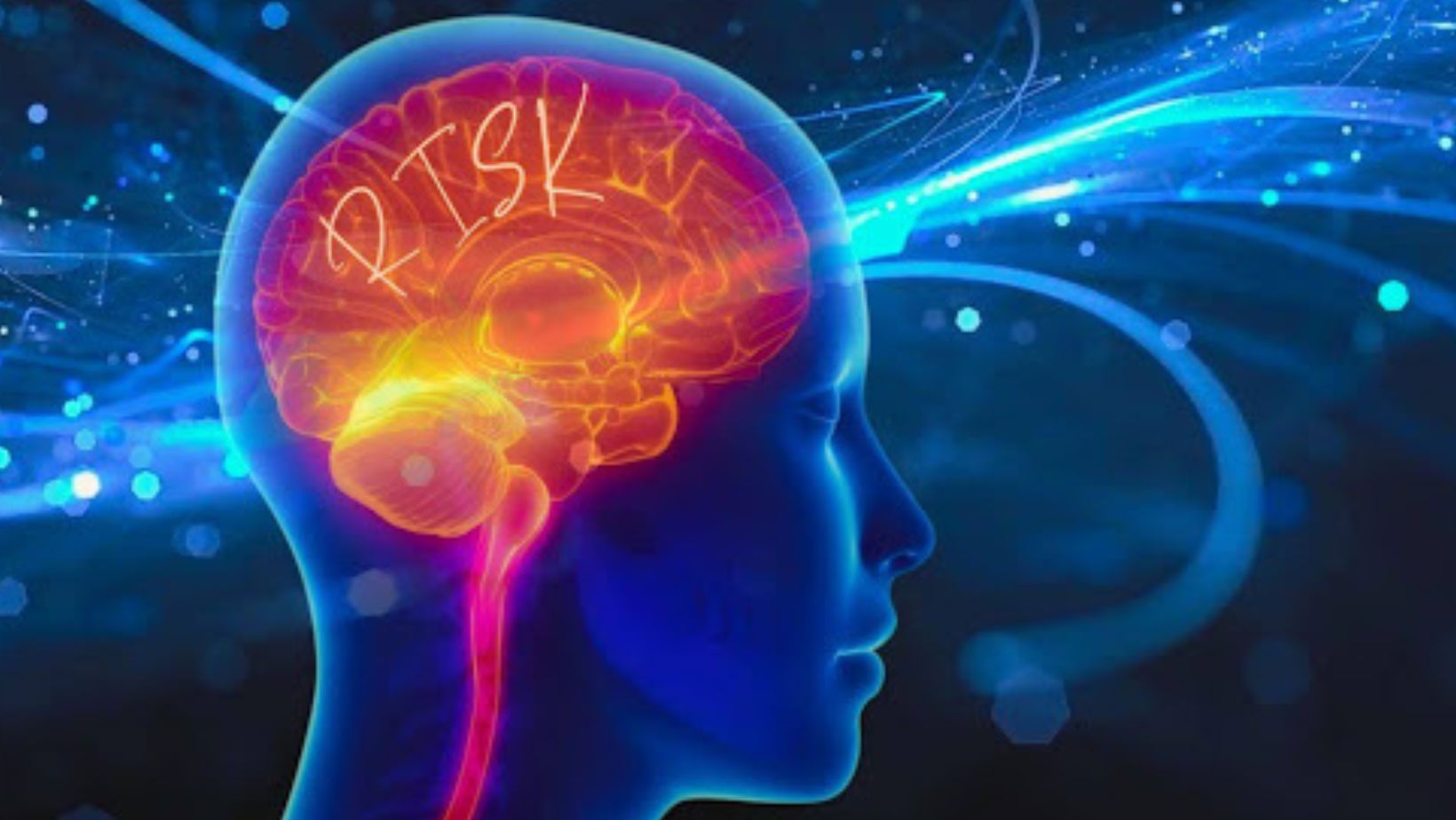 Psychology of Risk – Human Brain